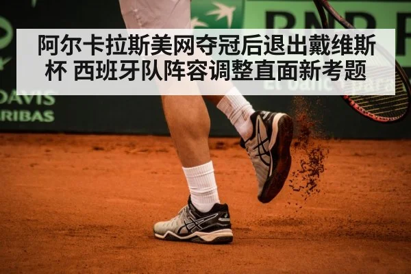 davis cup tennis team
