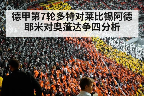 bundesliga football stadium crowd
